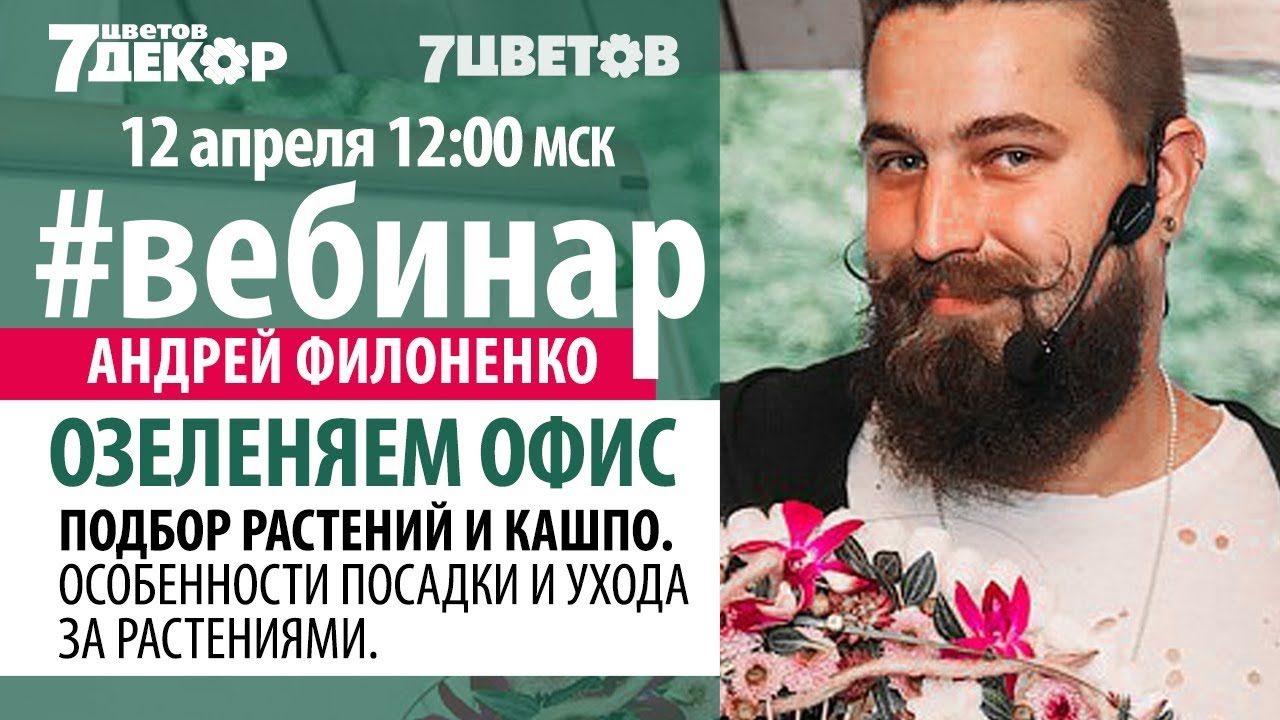 Озеленяем офис. Подбор растений и кашпо. Особенности посадки и ухода за растениями.