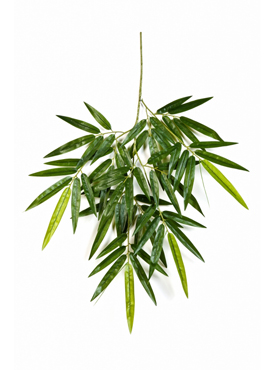 Растение искусственное Бамбук, 65 см - фото 1