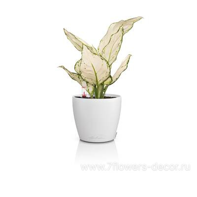Кашпо Lechuza Classico Color 14 Complete white (пластик), D15xH13,5 см - фото 6