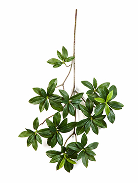 Искусственное растение "Бересклет", 55 см