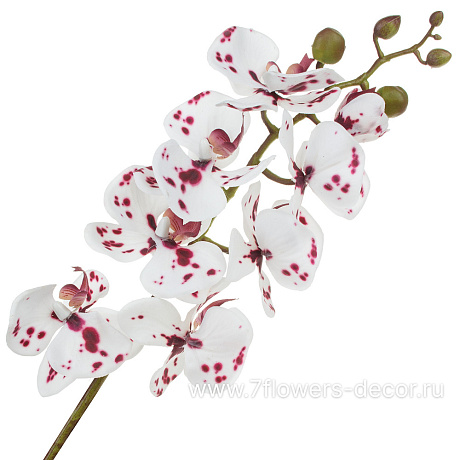 Цветок искусственный Фаленопсис, H78 см, с силиконовым покрытием - фото 1