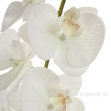 Цветок искусственный Фаленопсис, 112 см - фото 2