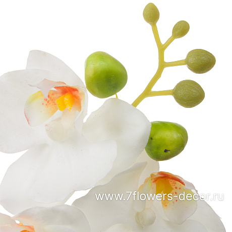 Цветок искусственный Фаленопсис, H42 см, с силиконовым покрытием - фото 2
