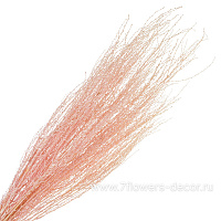 Сухоцветы, H65 см, набор - фото 1