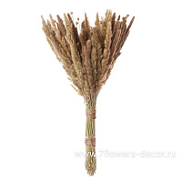 Букет из сухоцветов "Луговые травы", H 40 см - фото 1