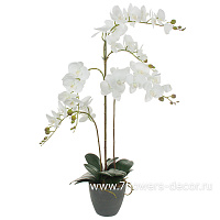 Растение искусственное "Фаленопсис" в кашпо, H89 см - фото 1