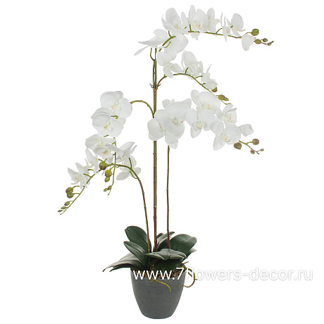 Растение искусственное Фаленопсис в кашпо, H89 см - фото 1