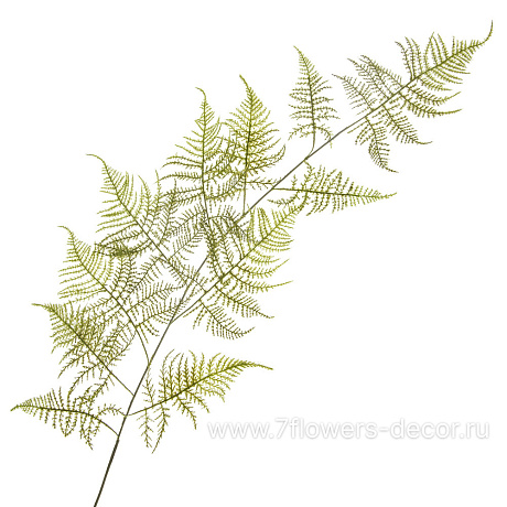 Растение искусственное ампельное Аспарагус Перистый, H117 см - фото 1