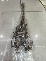 Сухоцветы "Коримбия", H55 см, 200 г - фото 1