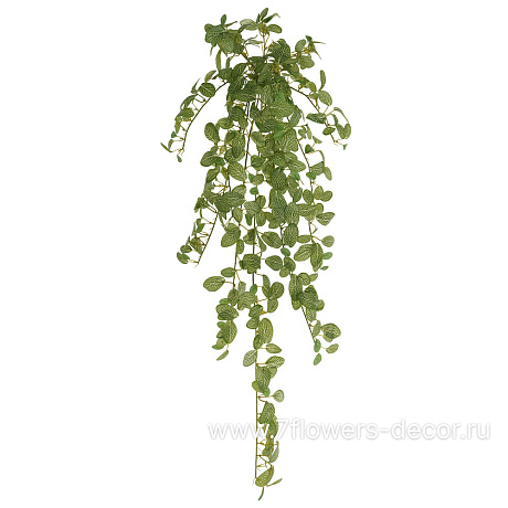 Растение искусственное Фиттония, 300 листьев, 80 см - фото 1
