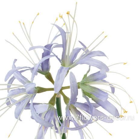 Цветок искусственный Агапантус, H62 см - фото 2