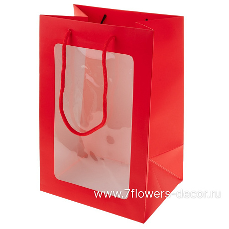 Набор сумок с прозрачной вставкой (картон), 20x16xH30 см (10шт) - фото 1