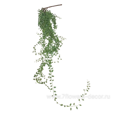 Растение искусственное Крестовник Роули ,108 см - фото 1