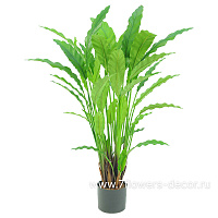 Растение искусственное в кашпо "Калатея",  40 веток, H77 см