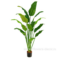 Растение искусственное в кашпо "Стрелиция",  16 веток, H180 см - фото 1