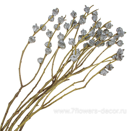 Сухоцветы, H60 см, набор - фото 1