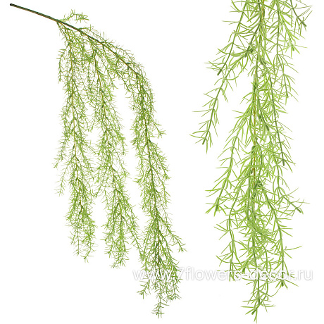 Растение искусственное ампельное Аспарагус Шпенгера, H95 см - фото 1
