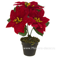 Цветок искусственный "Пуансеттия" в кашпо (ткань), Н20 см - фото 1