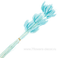 Сухоцветы "Фалярис", H60 см, набор (50 шт) - фото 1
