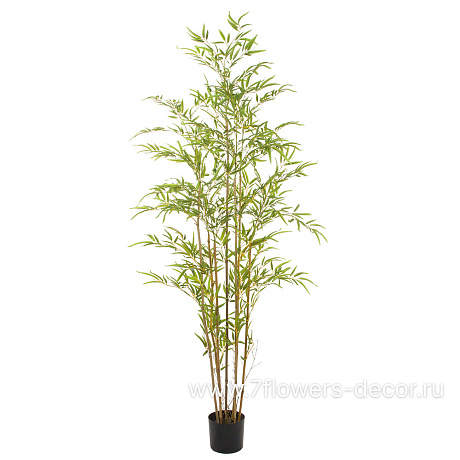 Растение искусственное Бамбук в кашпо, H180 см - фото 1