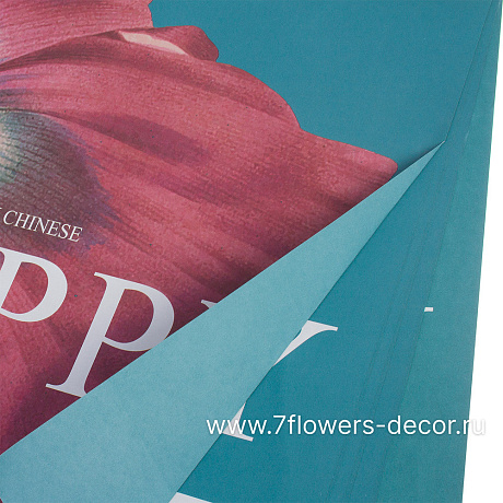 Набор дизайнерской бумаги Poppy 110г/м2, 54х54 см (10шт) - фото 1