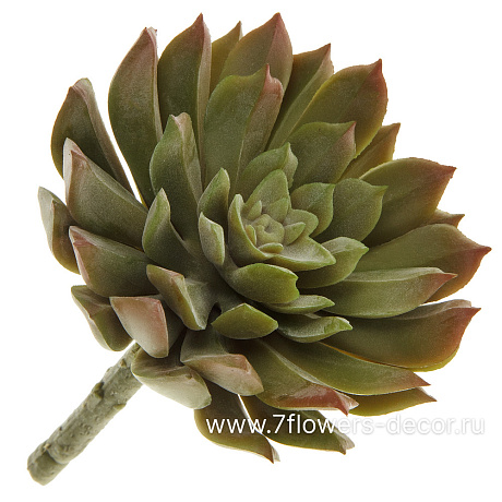 Растение искусственное Суккулент Эониум Кастелло, 10xH12 см - фото 1