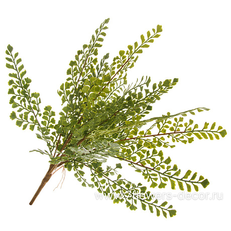 Растение искусственное Папоротник Адиантум, H43 см - фото 1