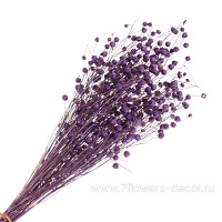 Букет из сухих колосовых культур "Лён", H40 см - фото 1