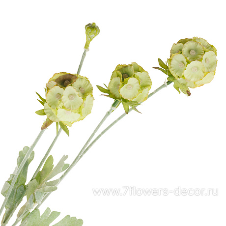 Цветок искусственный Скабиоза, H60 см - фото 2