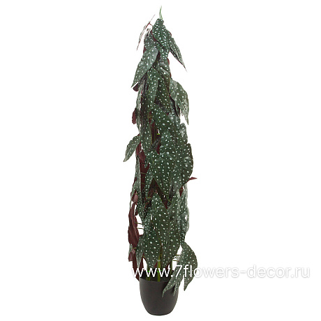 Растение искусственное Бегония Макулата, H115 см - фото 1