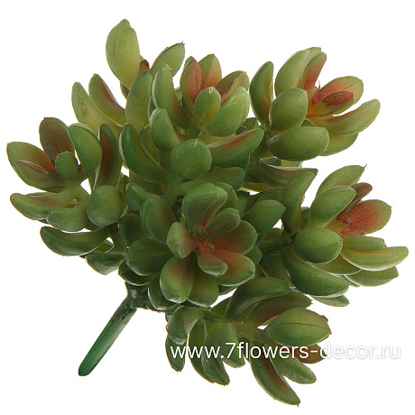 Растение искусственное Суккулент Седум красноокрашенный, 12xH12 см - фото 1
