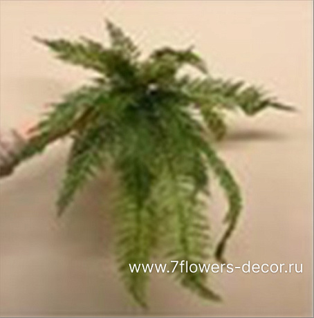 Растение искусственное Папоротник, H74 см - фото 1