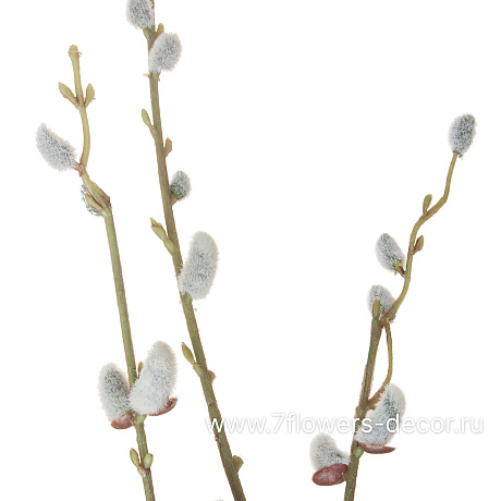Ветка искусственная Верба, H115 см - фото 2