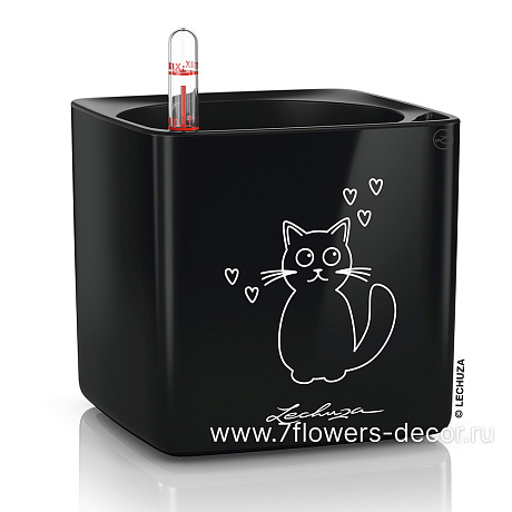 Кашпо Lechuza "Cube Glossy Cat Complete black highgloss" (пластик), 14x14xH14 см