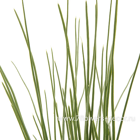Трава искусственная, H45 см - фото 2