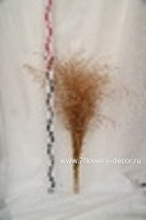 Сухоцветы "Луговик", D4х H80 см - фото 1