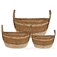 Корзина плетеная (водоросли), 35x29xH17 см - 27x22xH13 см, набор (3 шт) - фото 1