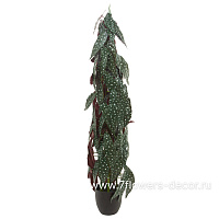Растение искусственное "Бегония Макулата", H115 см