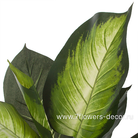 Растение искусственное Диффенбахия в кашпо, H55 см - фото 2