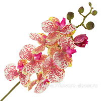 Цветок искусственный "Фаленопсис", H78 см, с силиконовым покрытием - фото 1