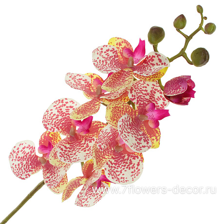 Цветок искусственный Фаленопсис, H78 см, с силиконовым покрытием - фото 1