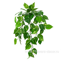 Растение искусственное "Потос Ампельный", 66 листьев, 70 см - фото 1