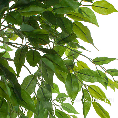 Дерево искусственное Фикус Бенджамина 2 головы, 1116 листьев, Н180 см - фото 3