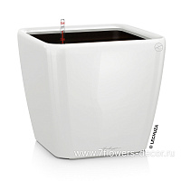 Кашпо Lechuza "Quadro LS Complete white high gloss" (пластик), 28x28xH26 см - фото 1