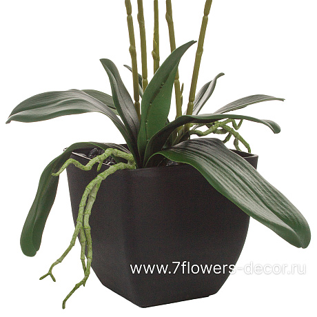 Растение искусственное Фаленопсис в кашпо, H59 см - фото 3