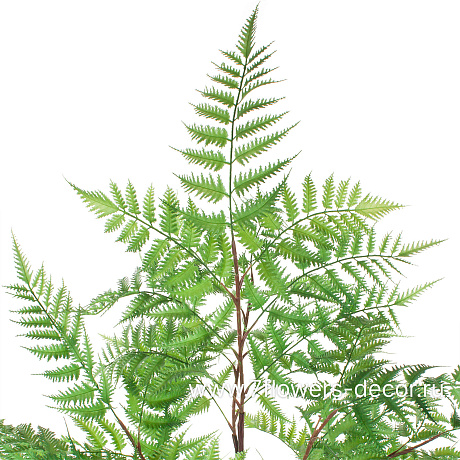 Растение искусственное Папоротник в кашпо, H180 см - фото 3