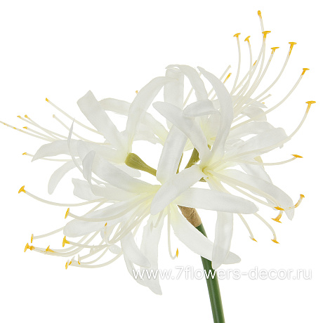 Цветок искусственный Агапантус, H62 см - фото 2