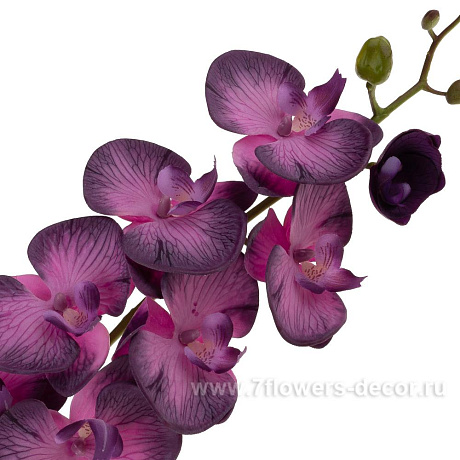 Цветок искусственный  с силиконовым покрытием Фаленопсис, 94 см - фото 3