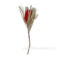 Сухоцветы стабилизированные "Протея", H40 см - фото 1