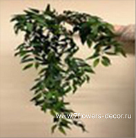 Растение искусственное ампельное "Зизифус", H110 см - фото 1